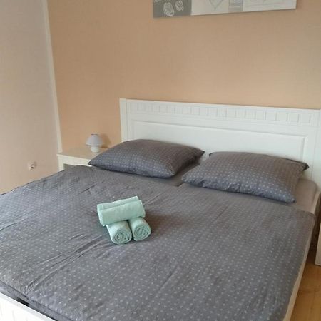 Zamecky Apartman V Horni Plane Horní Planá エクステリア 写真