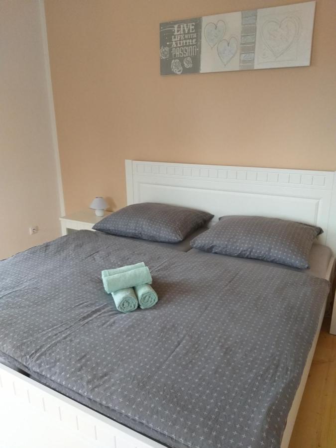 Zamecky Apartman V Horni Plane Horní Planá エクステリア 写真